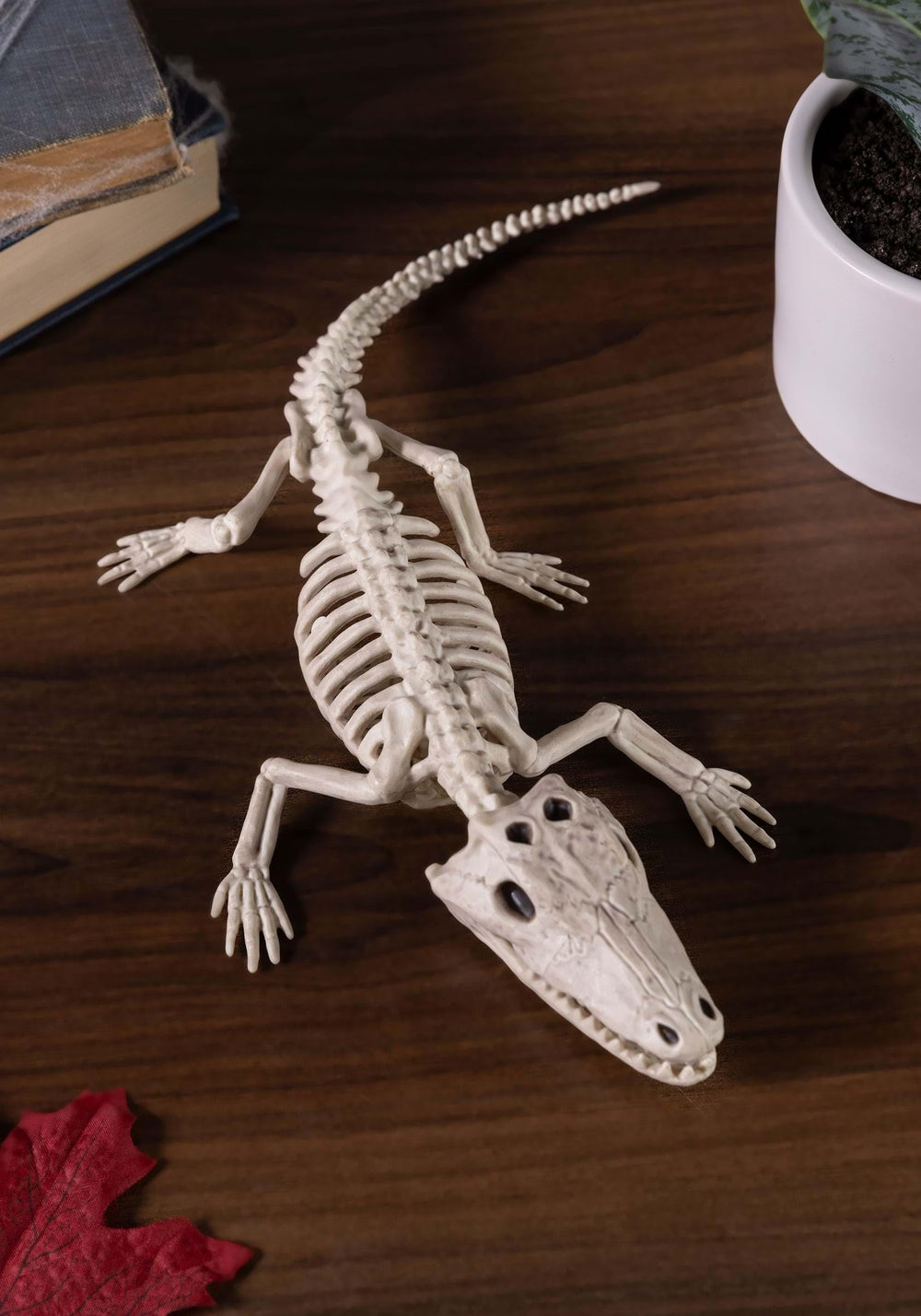 Seasons baby alligator skeleton close-up detail highlighting sculpted ribs and textured finish