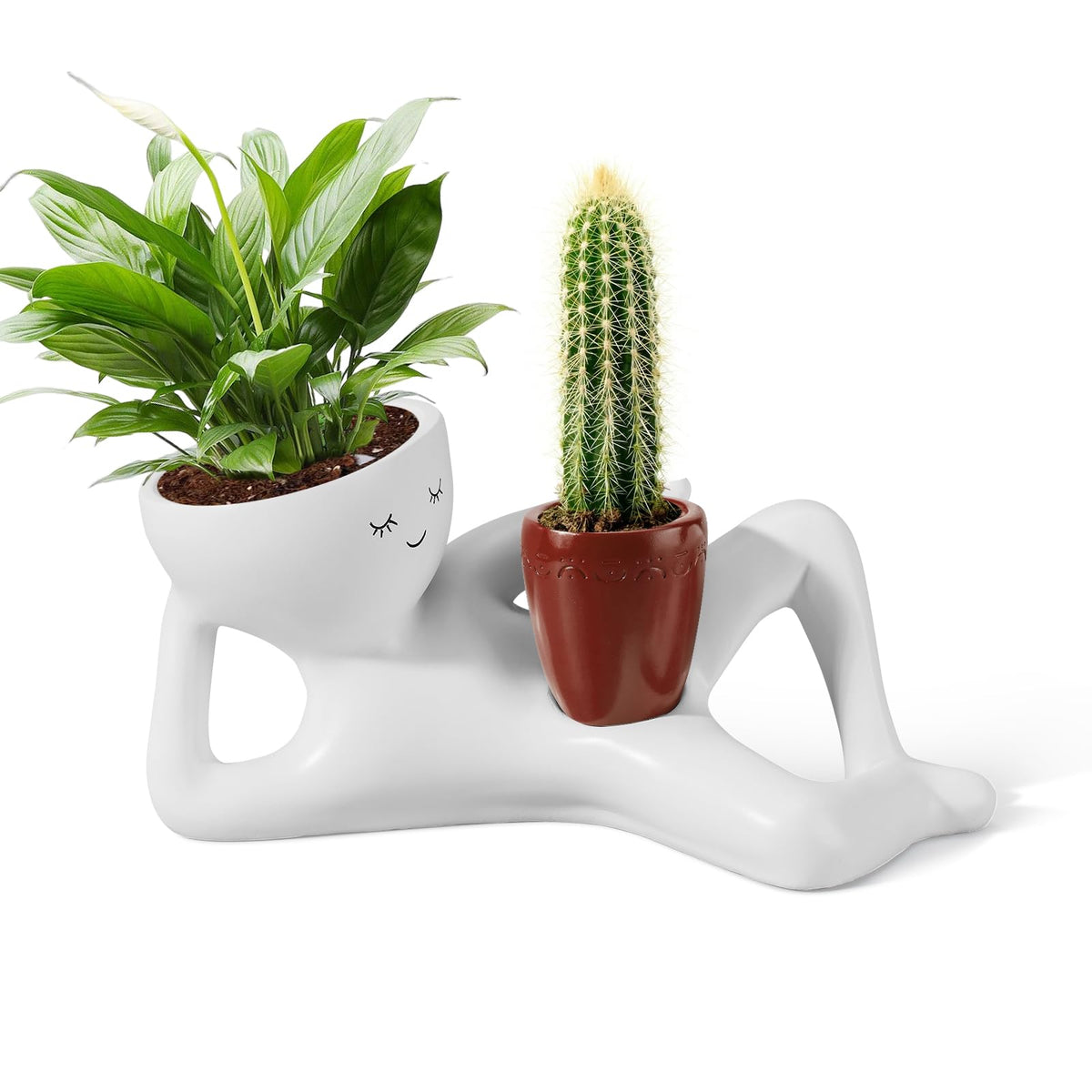 Sederikun front view showing the smiling head and plant display benefit