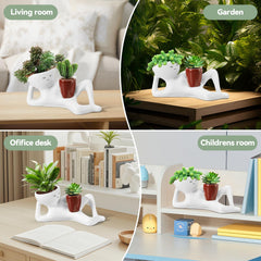 Sederikun planter with succulent on desk providing cheerful décor benefit