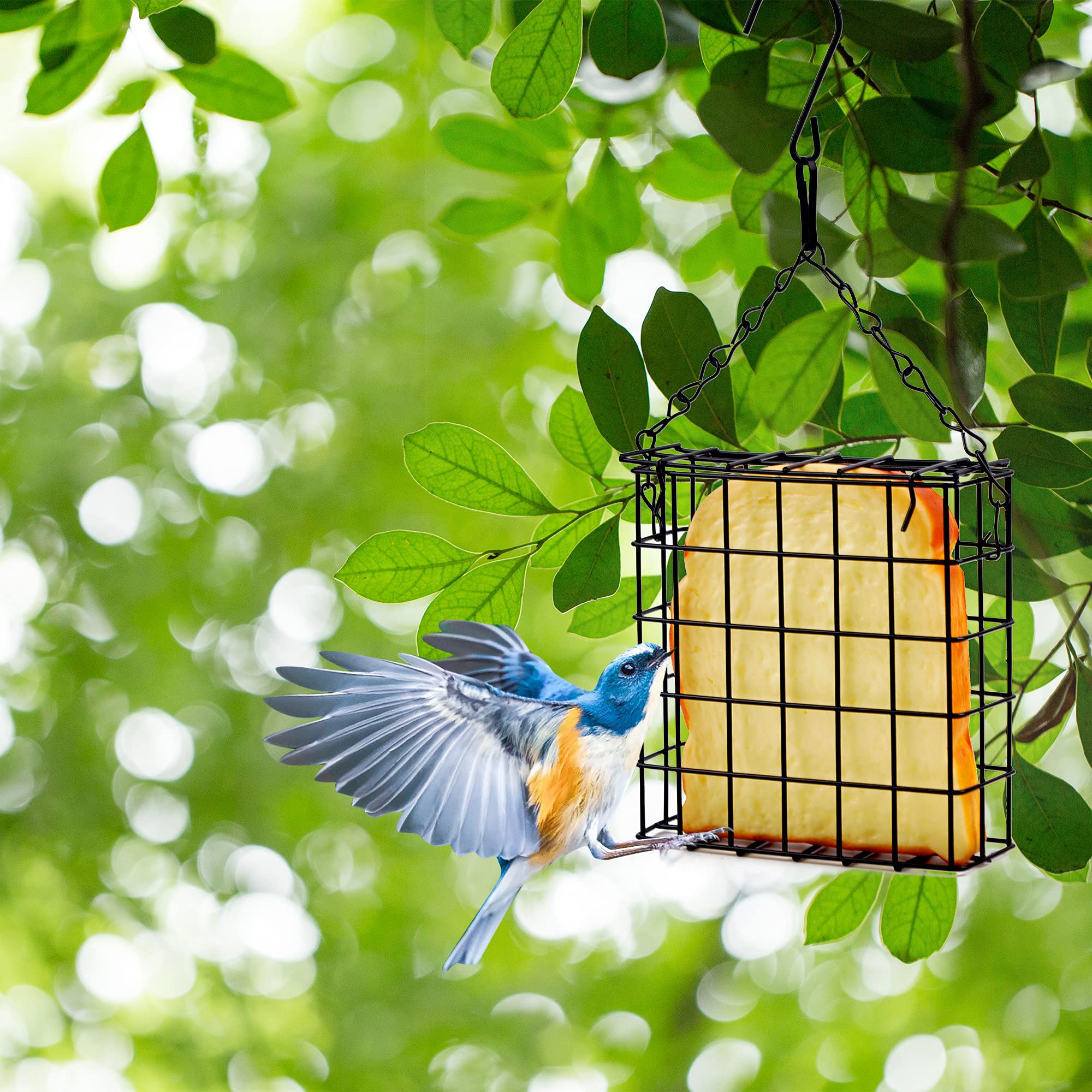Shitailu birds feeding in tree illustrating attraction of woodpeckers and tits