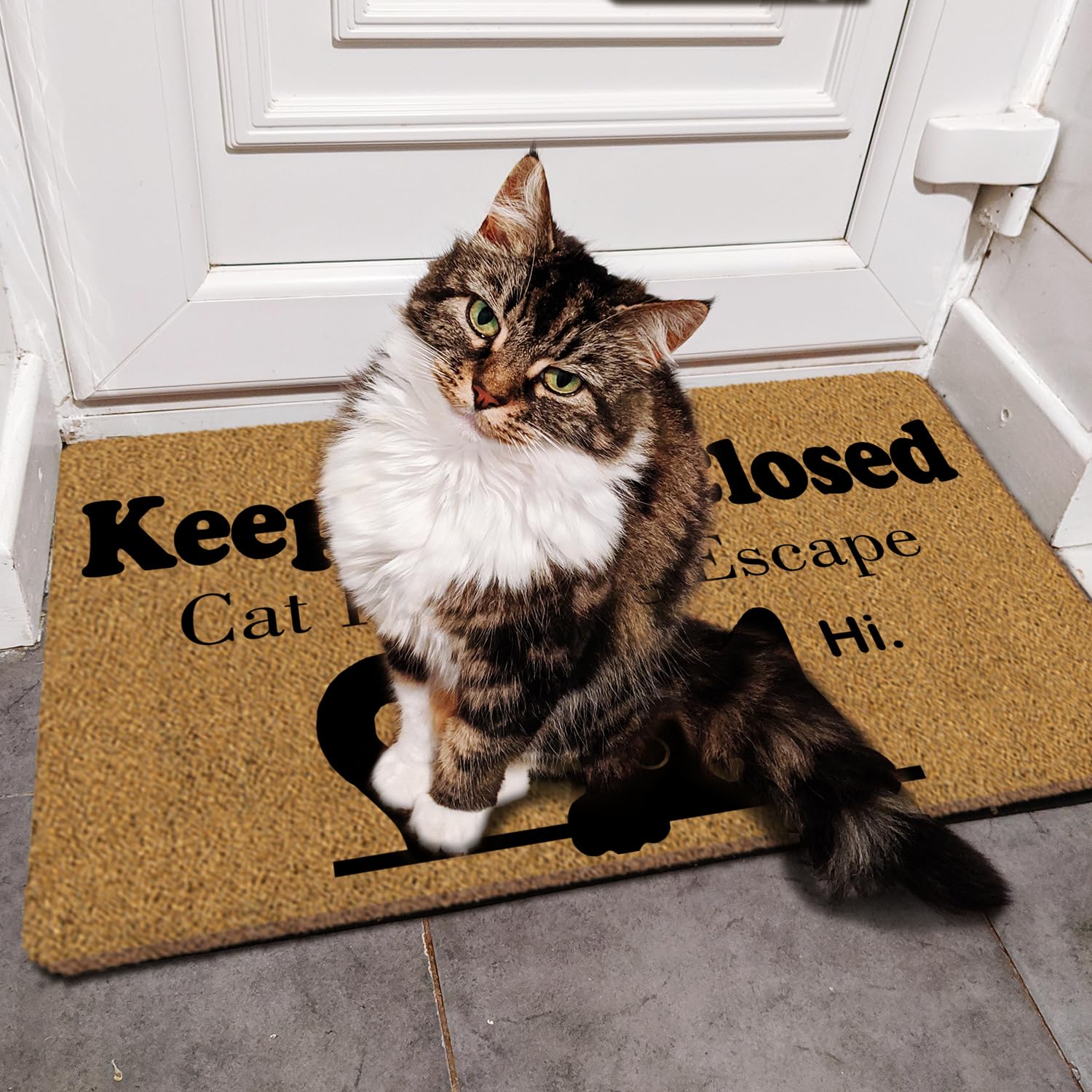 ShowDraven doormat in a used entryway trapping shoes and reducing indoor dirt