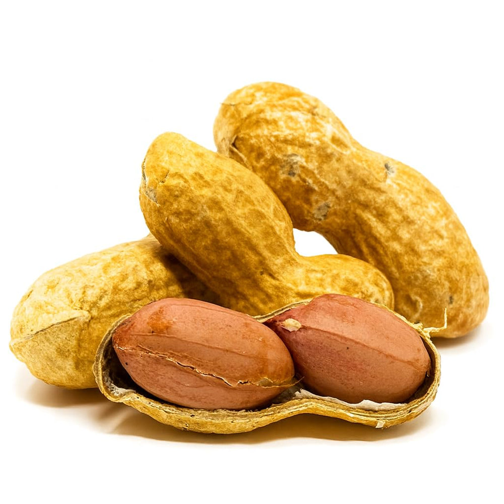 Sky Ecommerce close-up of peanut shell texture highlighting freshness and uniform size benefit