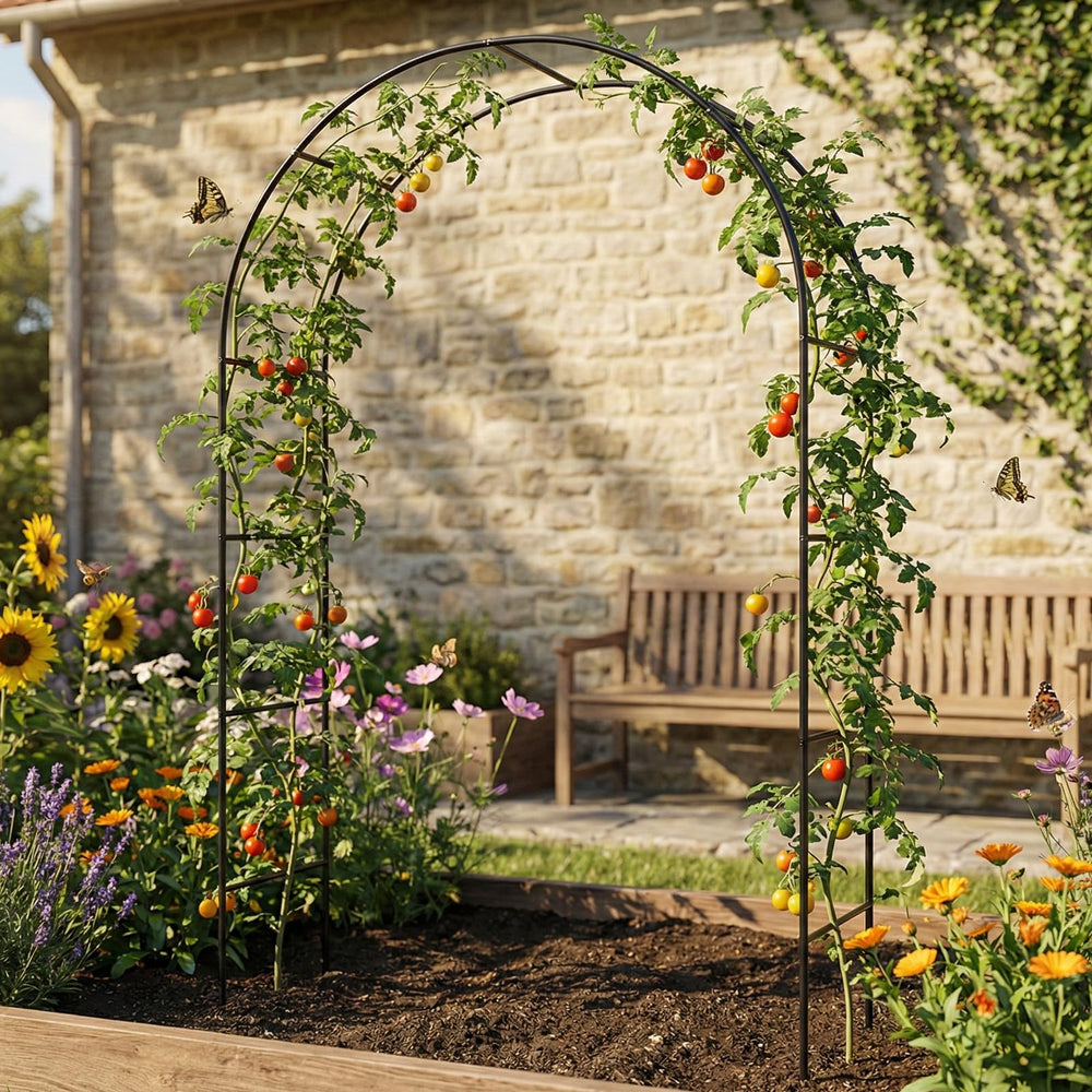 Skypatio arch next to person illustrating 7.8ft height and scale benefit