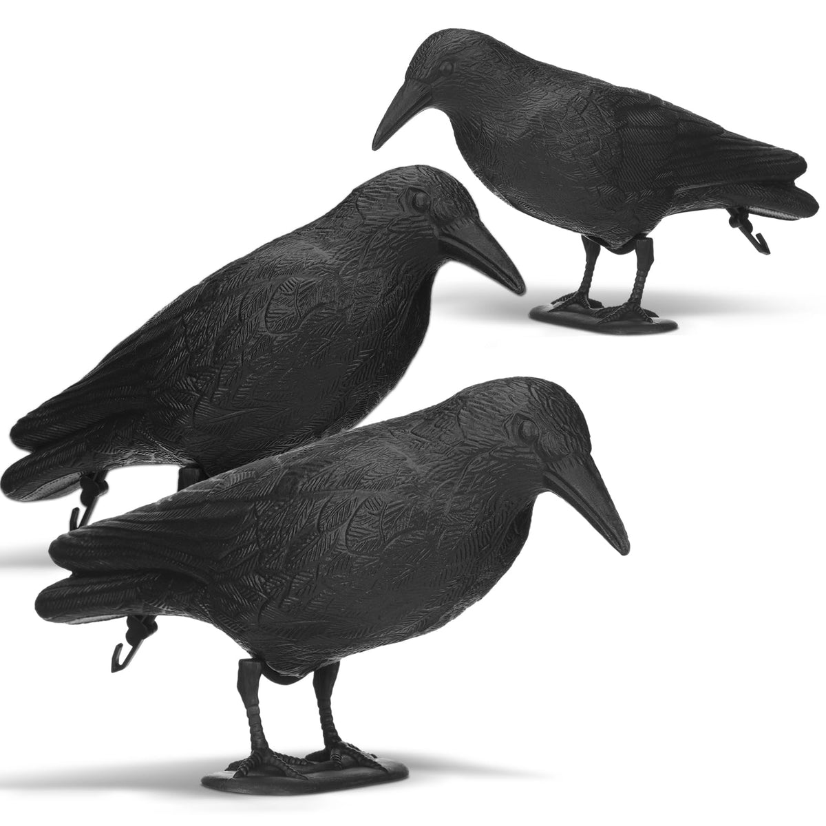 Sliner front view of three crow decoys showing realistic look and curb appeal