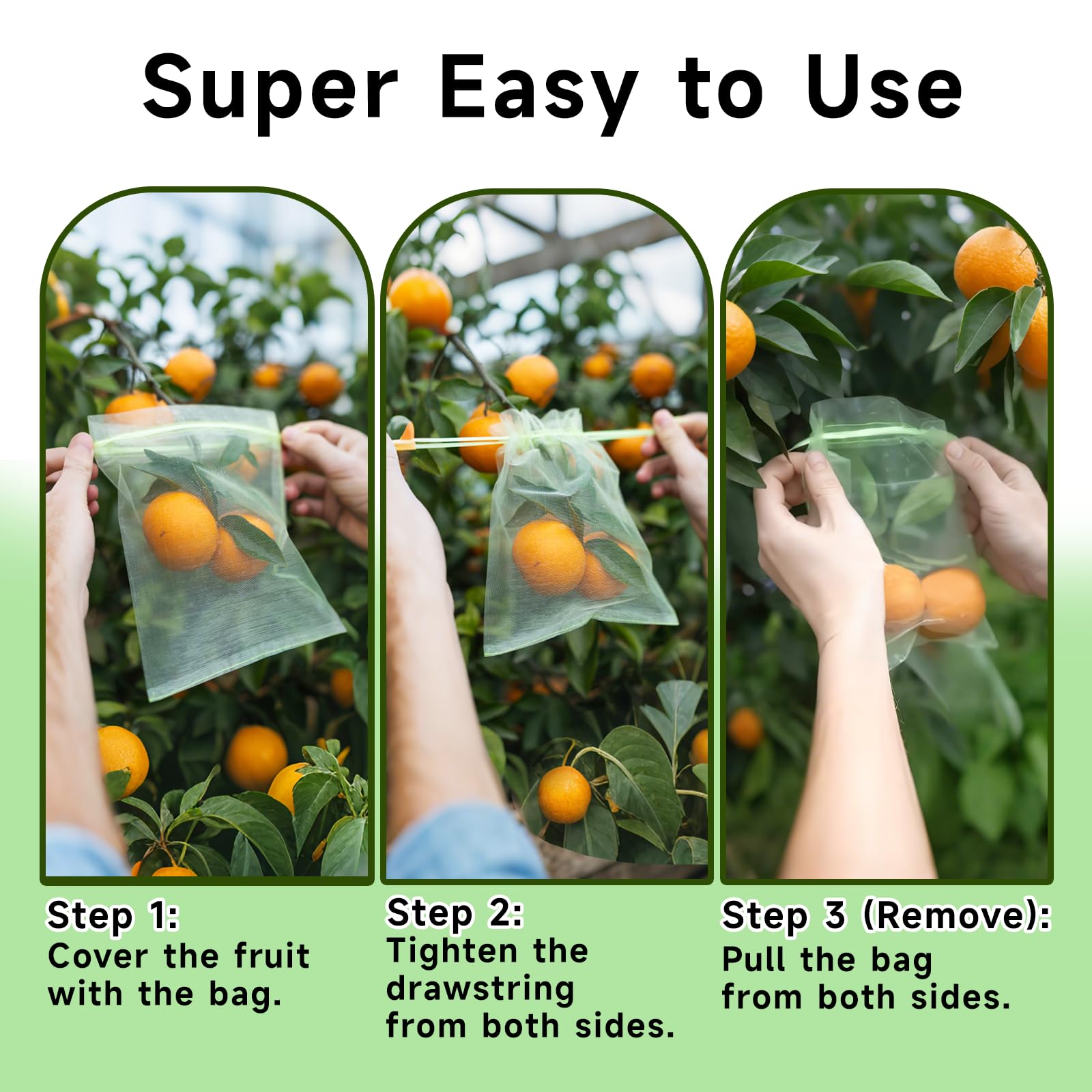 SmileLucky bag on apple tree demonstrating secure protection and easy use