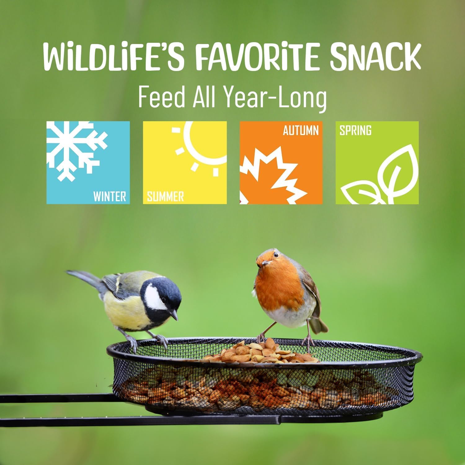 Sneaky Mango peanuts in backyard scene supporting wildlife observation