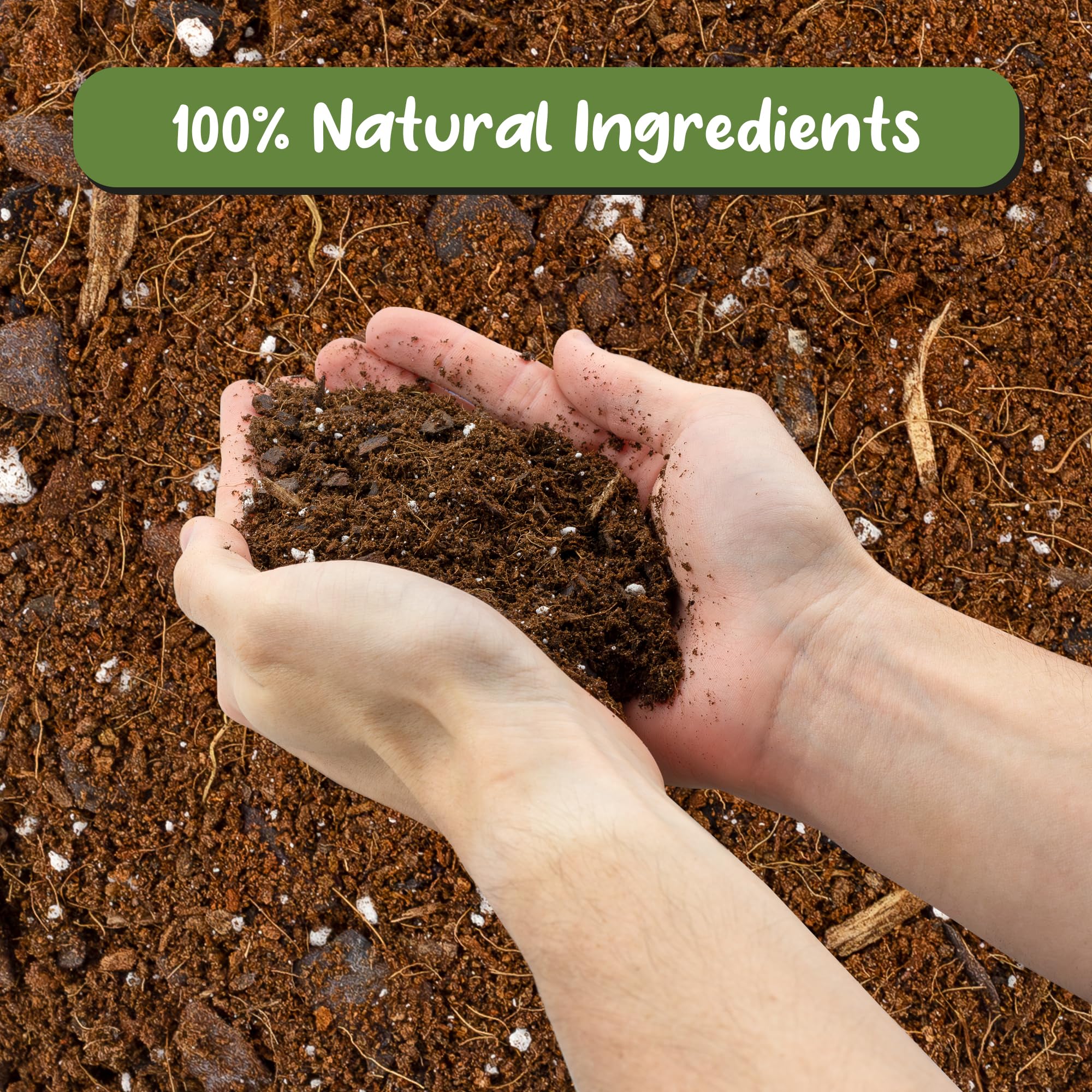 Soil Sunrise close-up of perlite, pine bark and coir for aeration