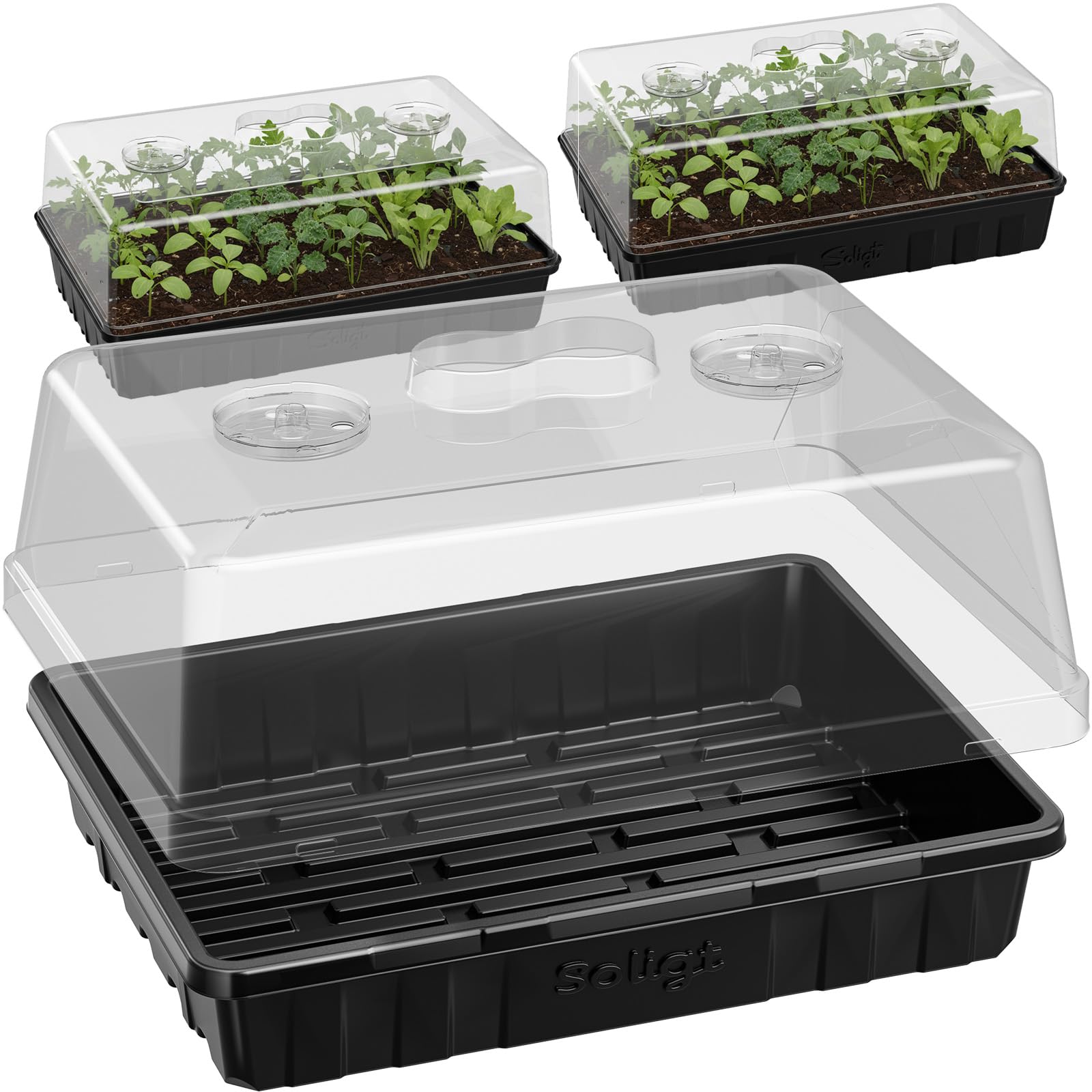 SOLIGT front view of tray and dome showing organized seed starts and protection