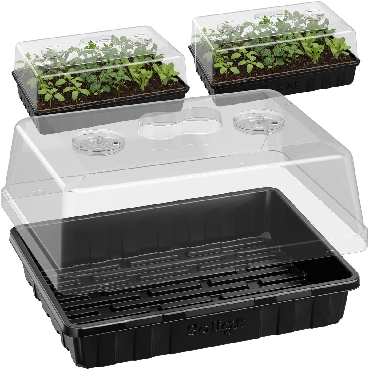 SOLIGT front view of tray and dome showing organized seed starts and protection
