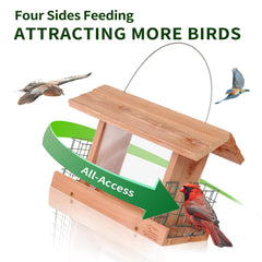 Solution4Patio dual suet holders top view displaying two-cake feeding option