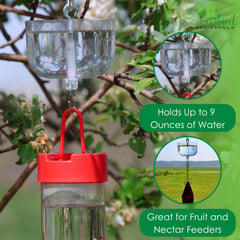 Songbird Essentials clear bowl top-down view for easy water-level checks