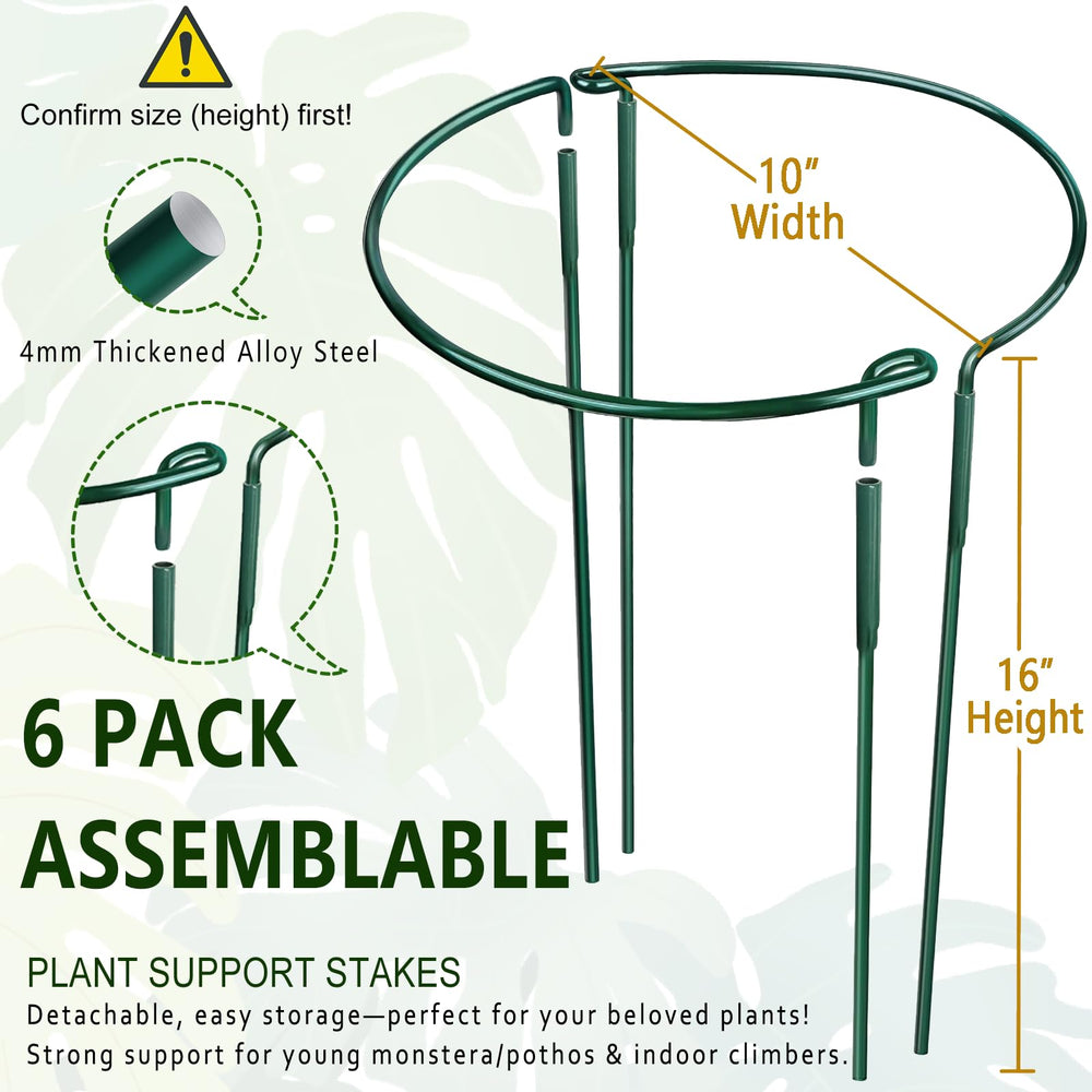 Soupiar assembled ring around a potted plant providing neat stem support