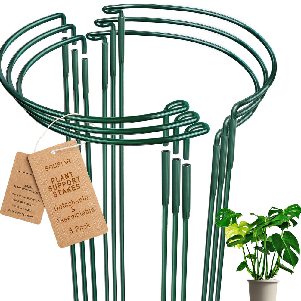 Soupiar front view of six metal plant stakes showing complete pack and value