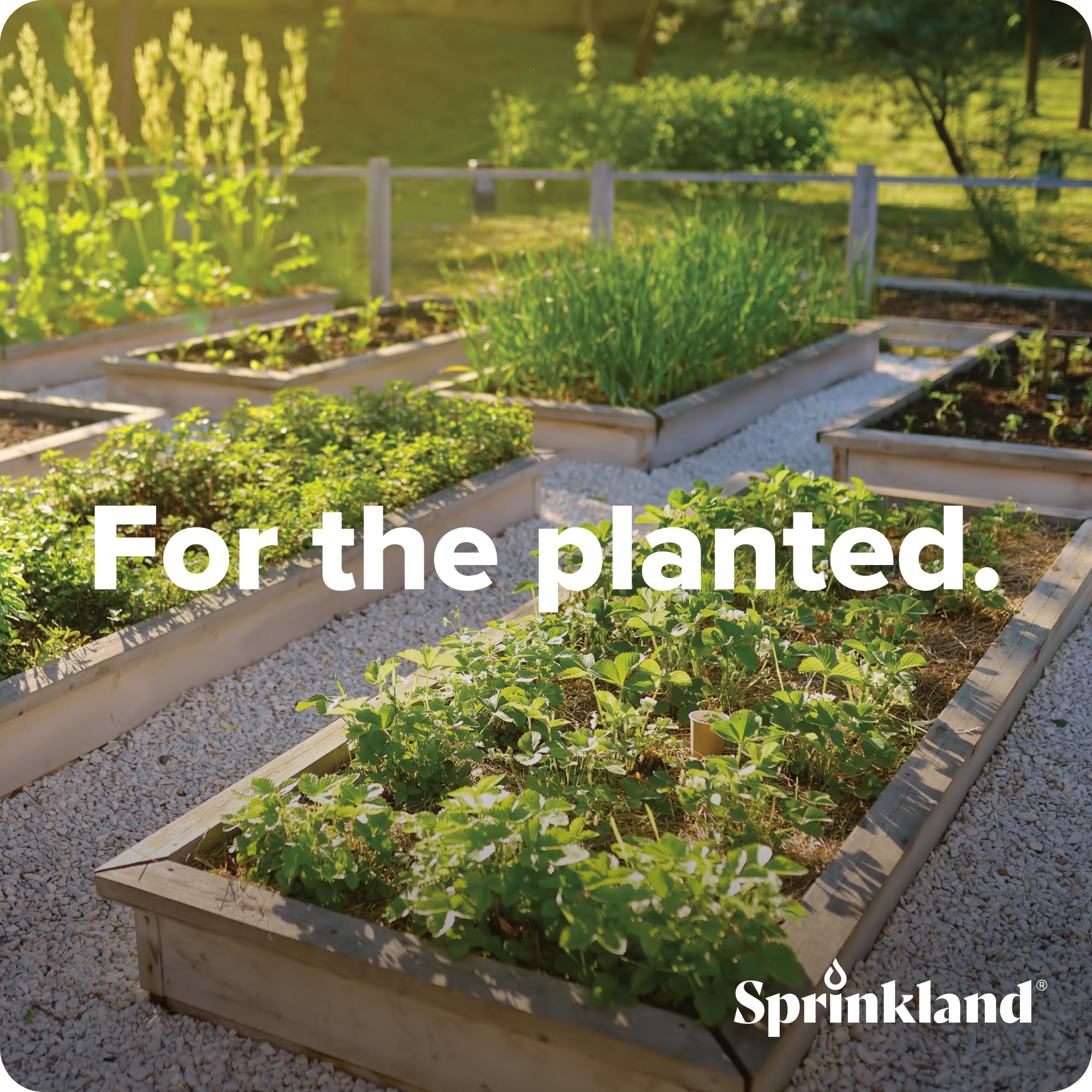 Sprinkland adapter in a garden setup connecting faucet to drip system
