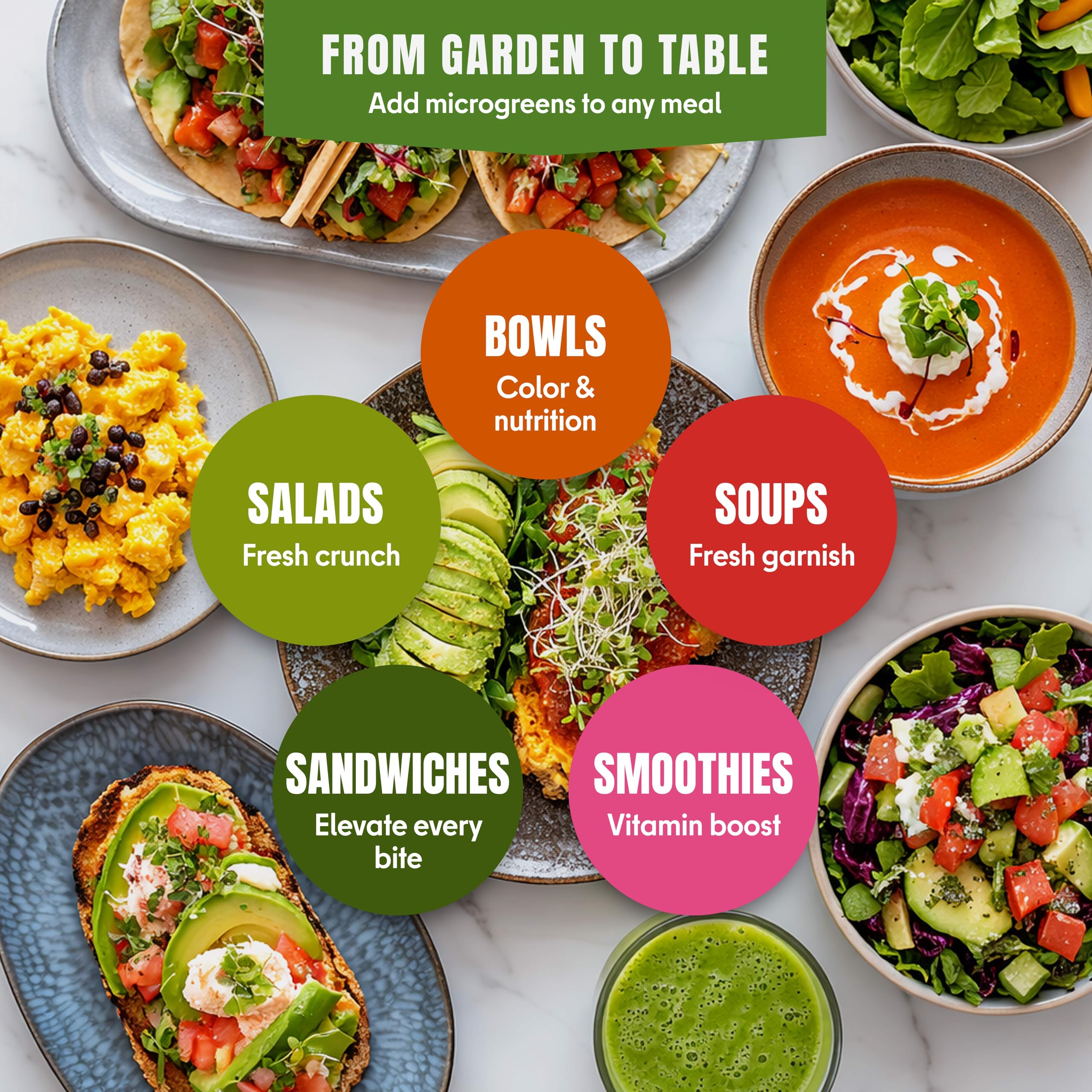 SproutMe Seeds hydroponic tray in use illustrating indoor growing