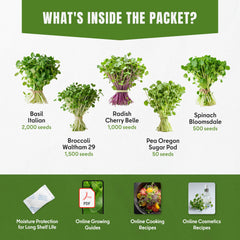 SproutMe Seeds individual seed varieties laid out for selection clarity