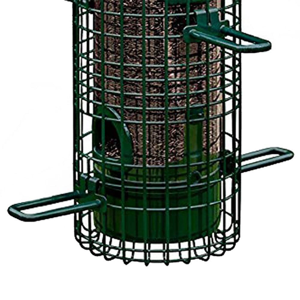 Squirrel Buster Classic in use with several birds feeding peacefully