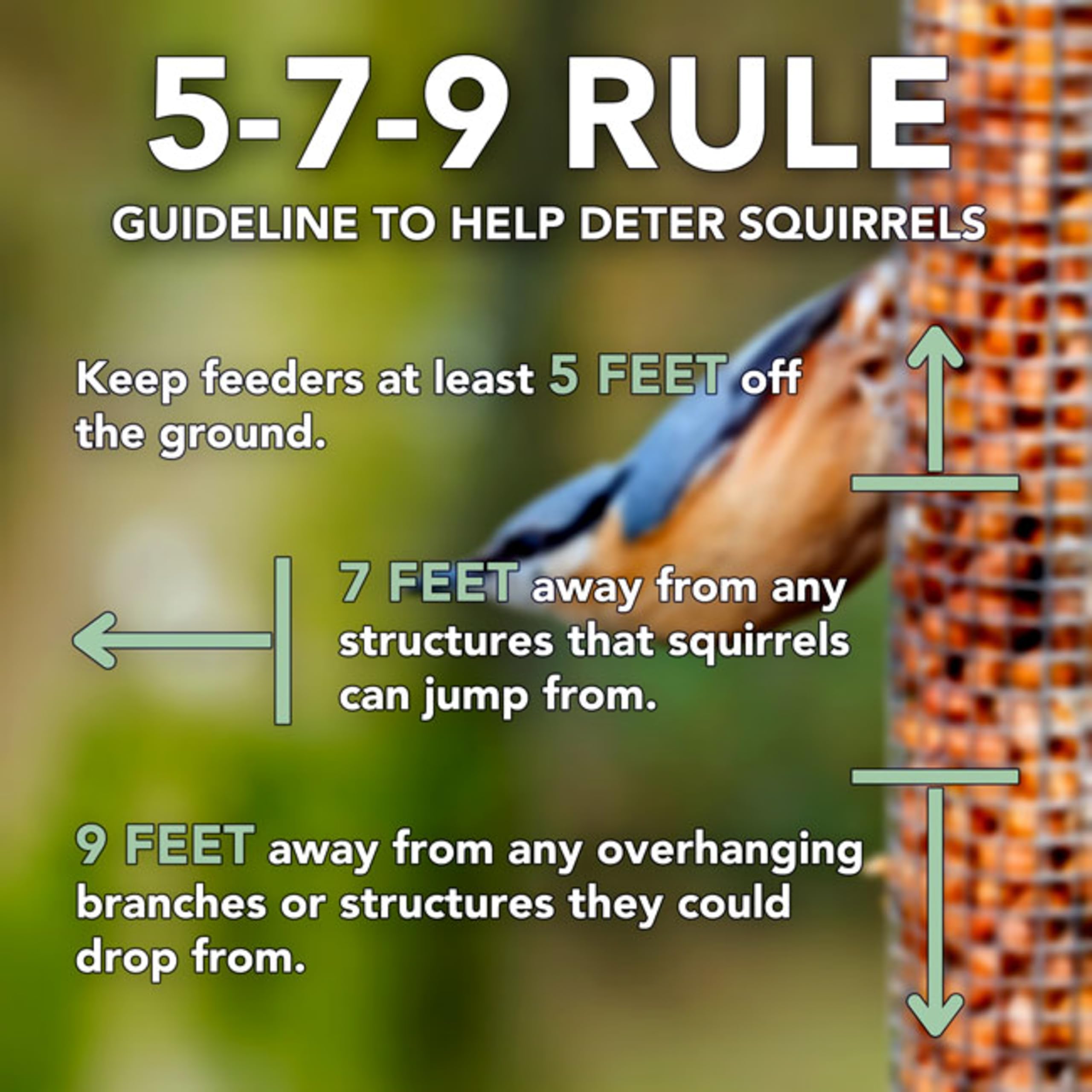 Squirrel Buster Classic packaging and instructions demonstrating easy setup