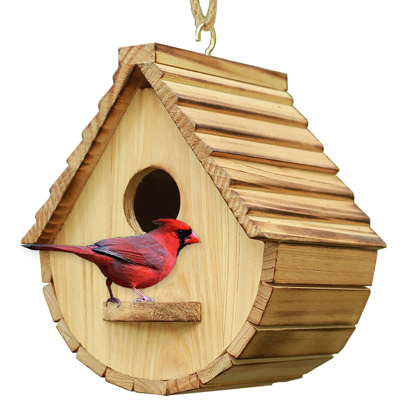 STARSWR birdhouse front view showing shape and porch for easy viewing