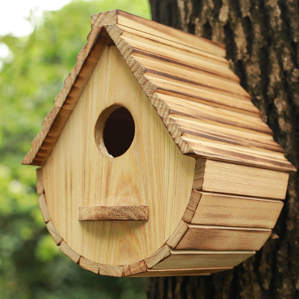 STARSWR birdhouse in garden lifestyle scene attracting backyard birds