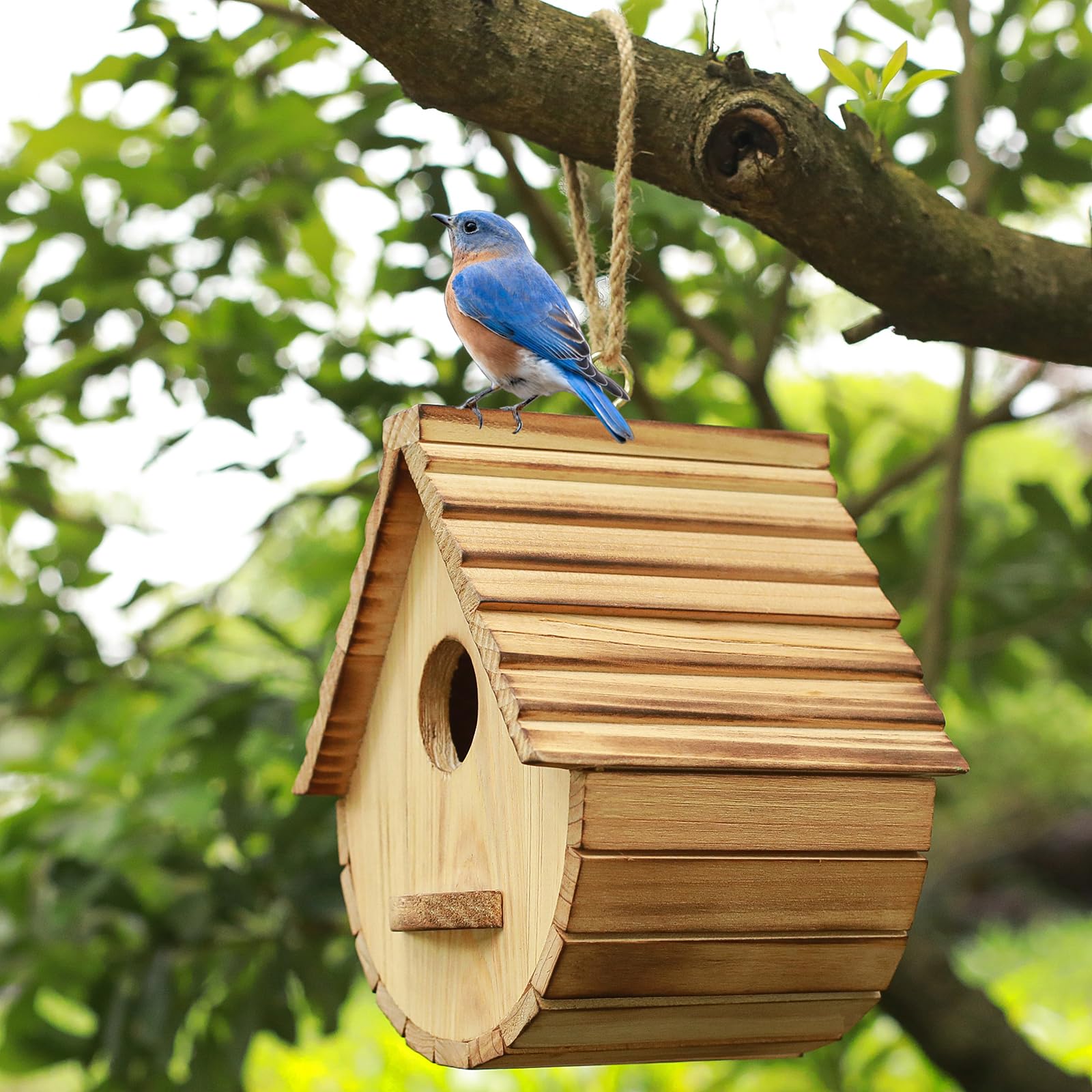STARSWR birdhouse hanging in tree offering shelter and garden attraction