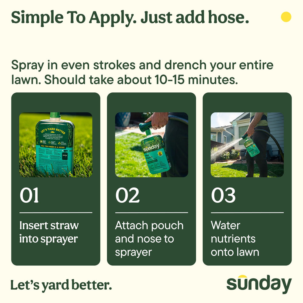SUNDAY product label detail showing ingredients and application guidance