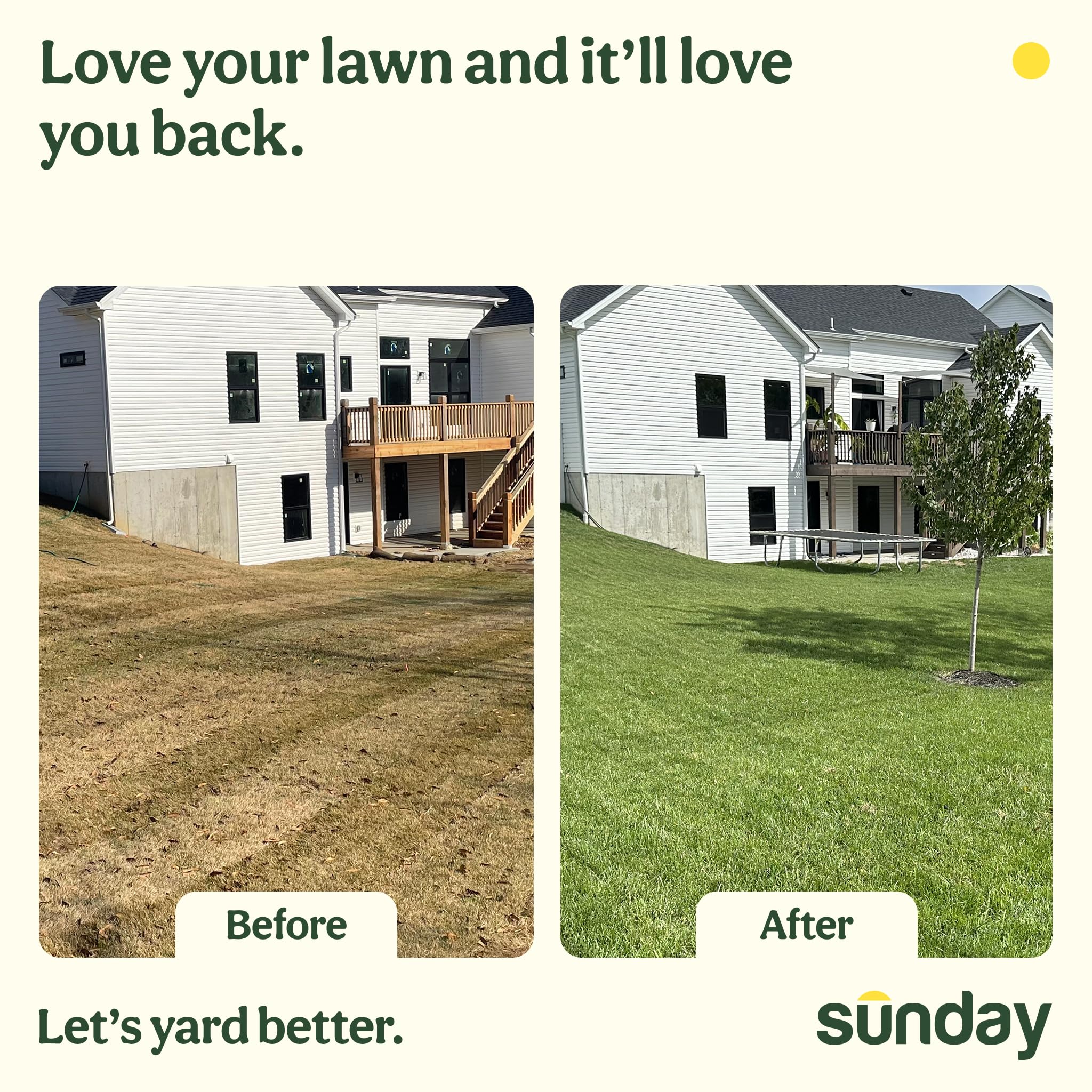 SUNDAY lifestyle scene dog on green lawn showing restored pet-friendly yard