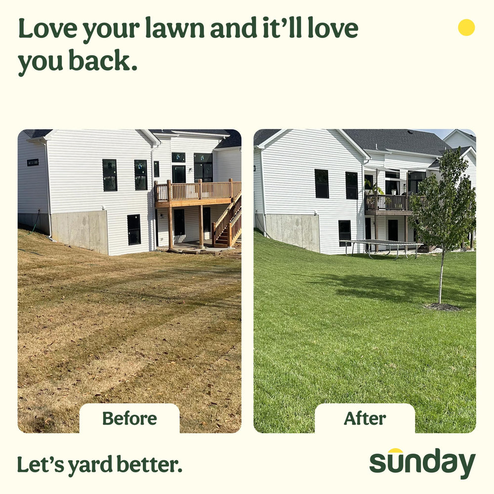 SUNDAY lifestyle scene dog on green lawn showing restored pet-friendly yard