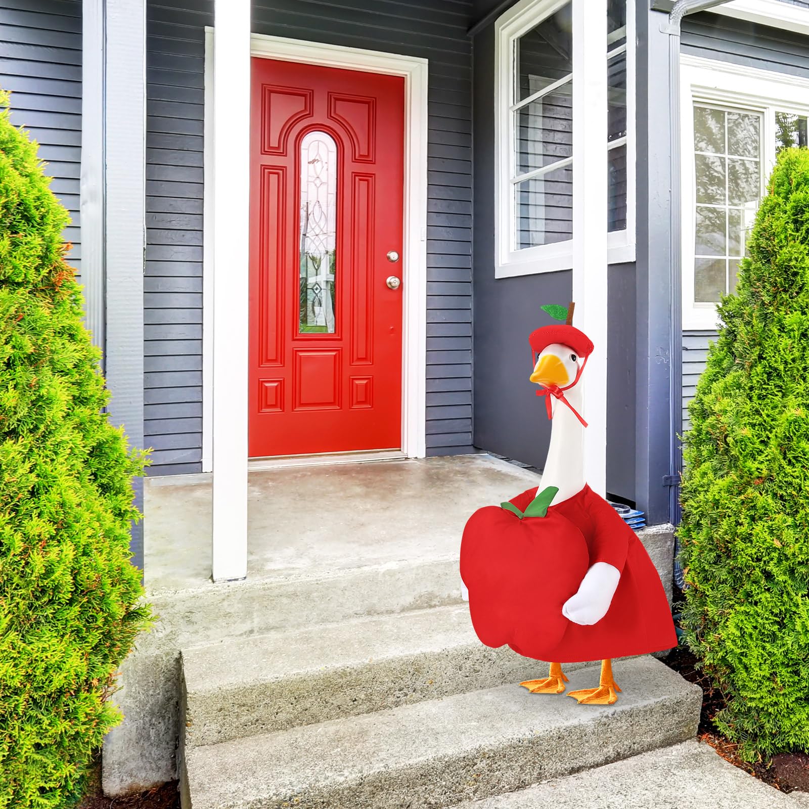 Sunnymove packaging and included pieces showing all-inclusive convenience