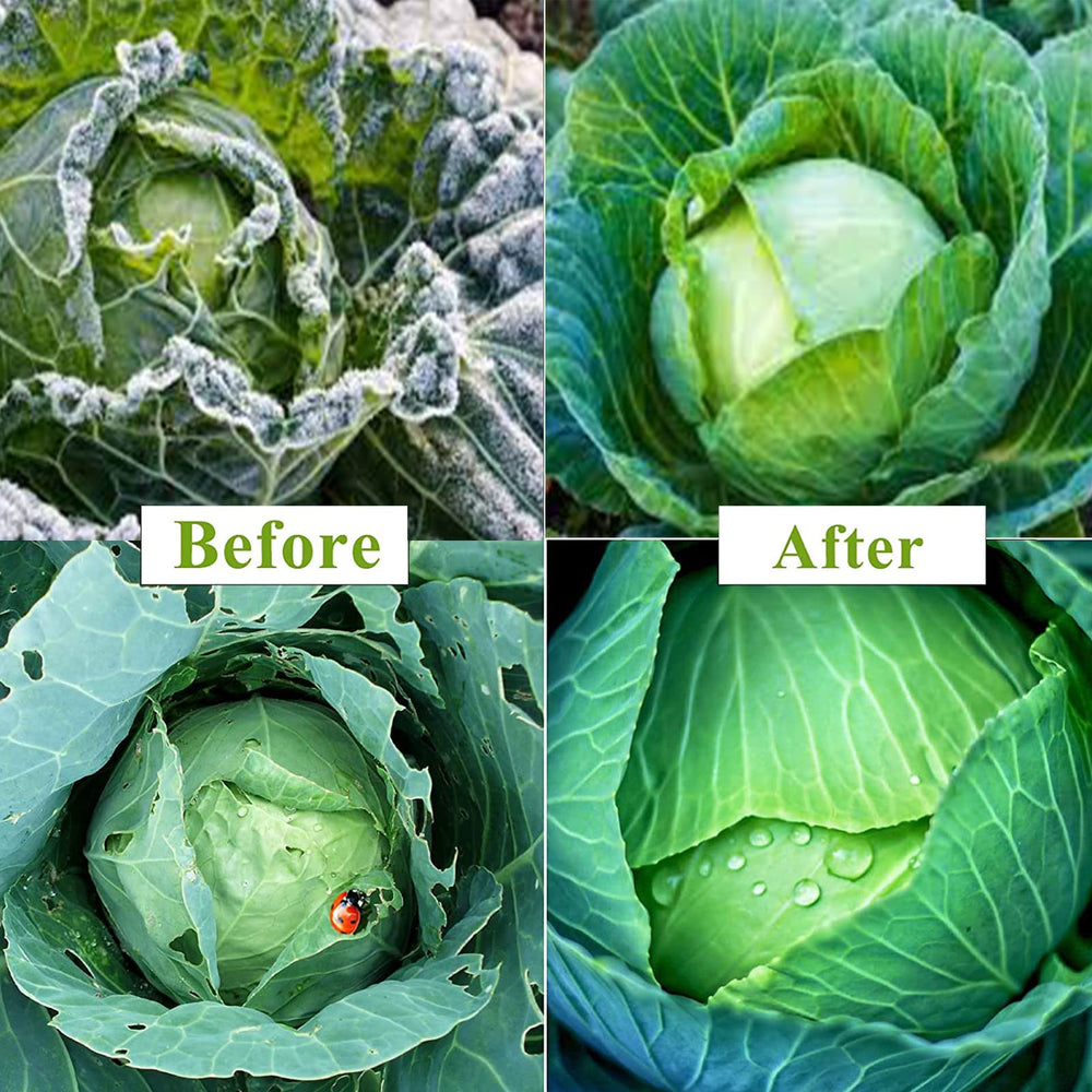 SUNPRO covered raised bed in garden showing protection from frost and pests benefit