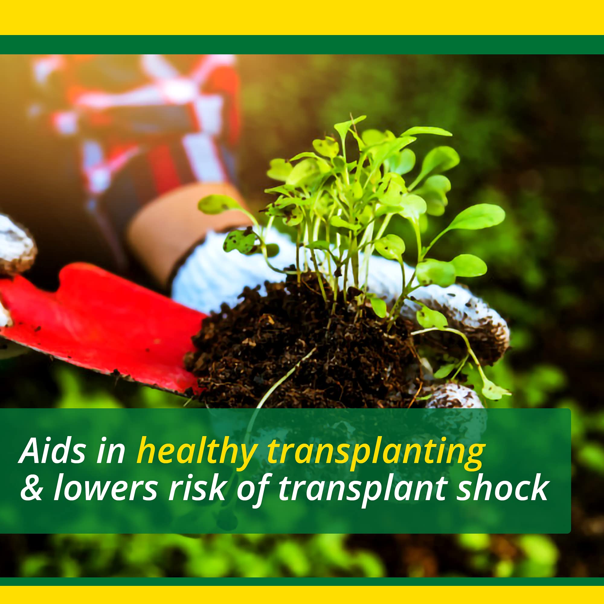 SUPERthrive applied at roots of a transplanted sapling to support recovery
