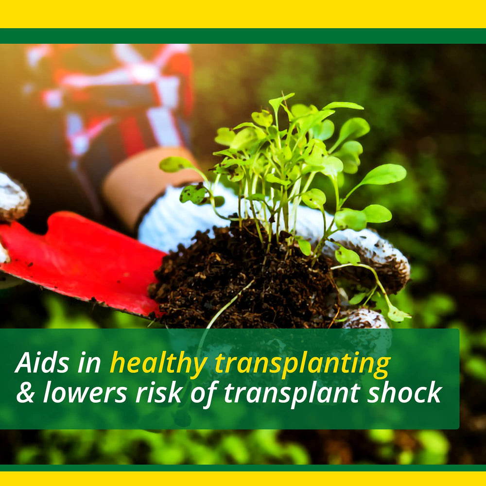 SUPERthrive applied at roots of a transplanted sapling to support recovery