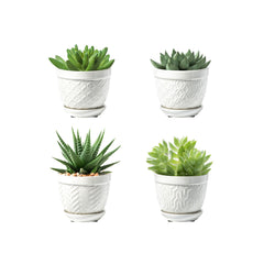 Sureasy HOME & KITCHEN front view of four white ceramic succulent pots showing minimalist styling and functional saucers