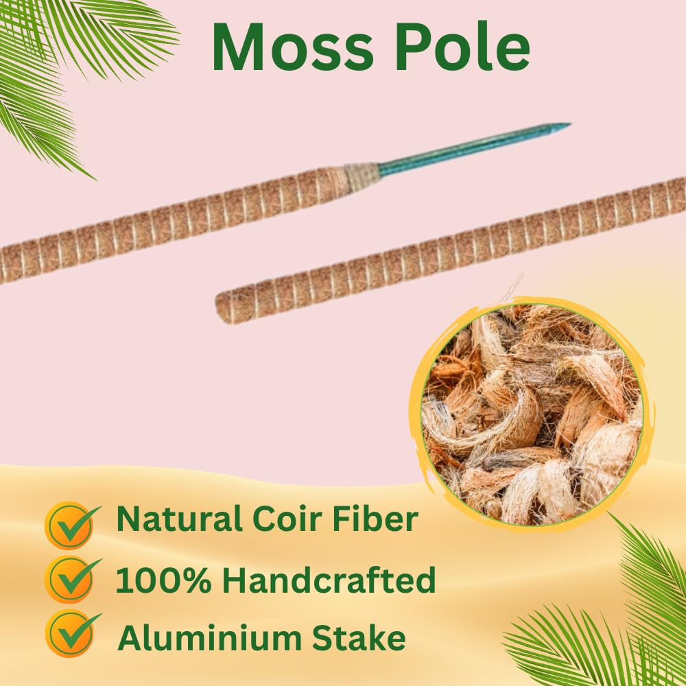 SURPPO bent arch-shaped pole in pot demonstrating flexible shaping for upright growth