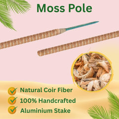 SURPPO bent arch-shaped pole in pot demonstrating flexible shaping for upright growth