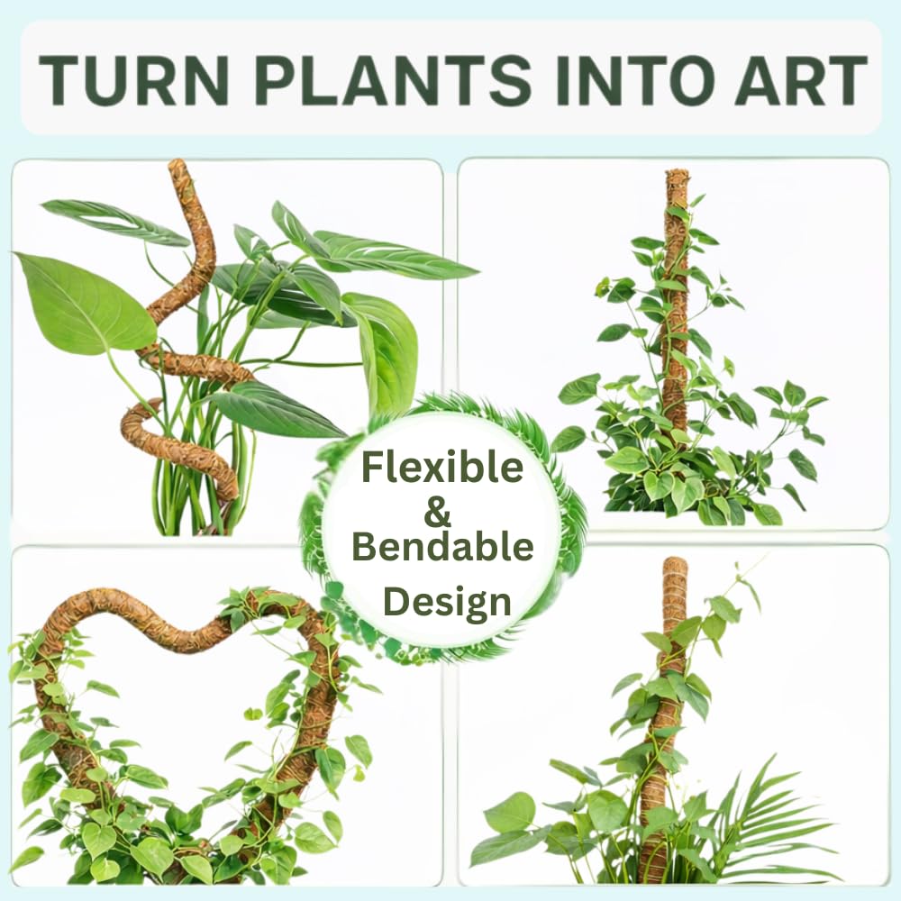 SURPPO spiral pole trained with monstera vine illustrating vertical training benefits