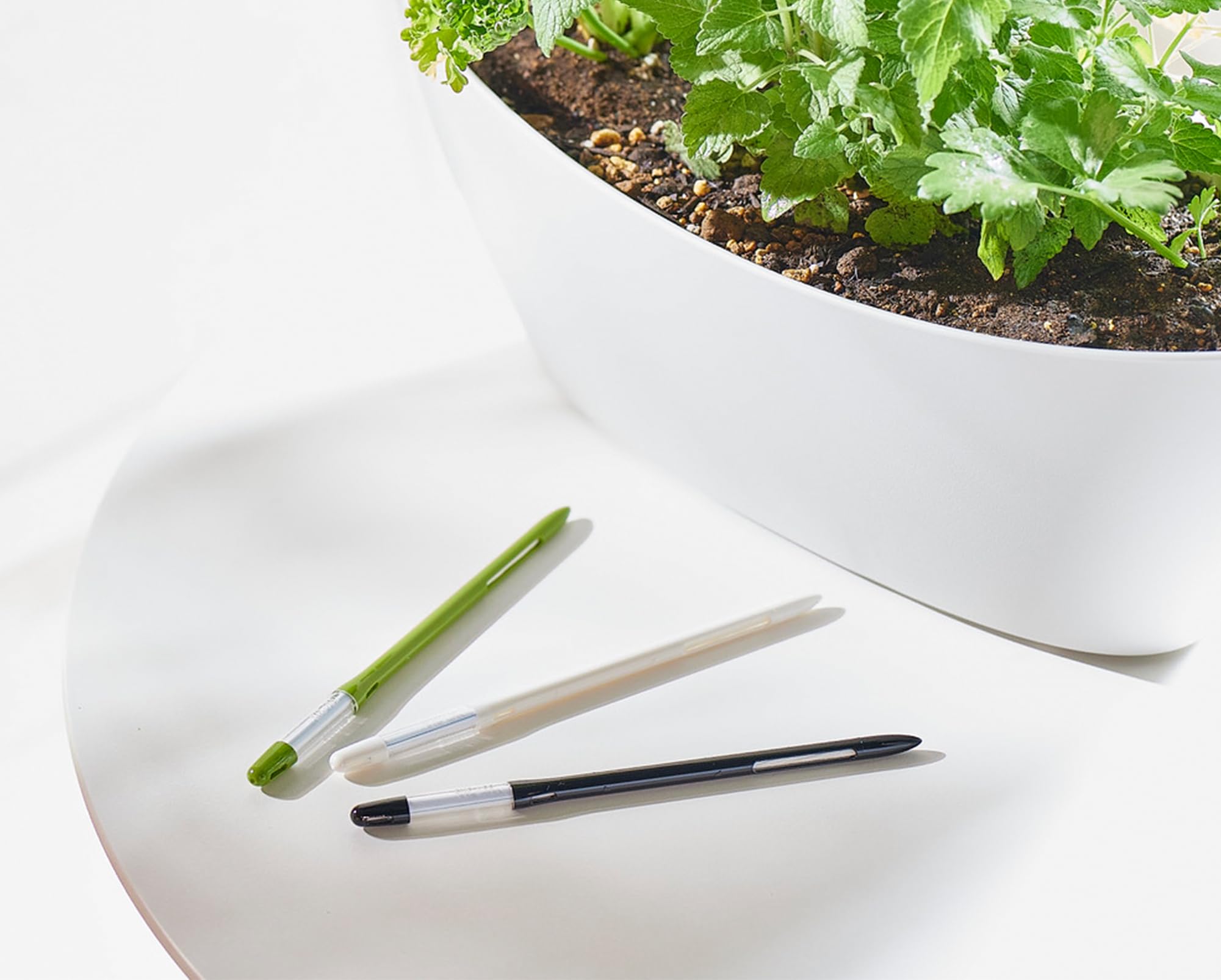 Sustee used in classroom gardening setup showing teaching and group use