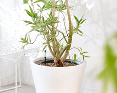 Sustee probe detail highlighting sturdy tip and soil-friendly finish benefit