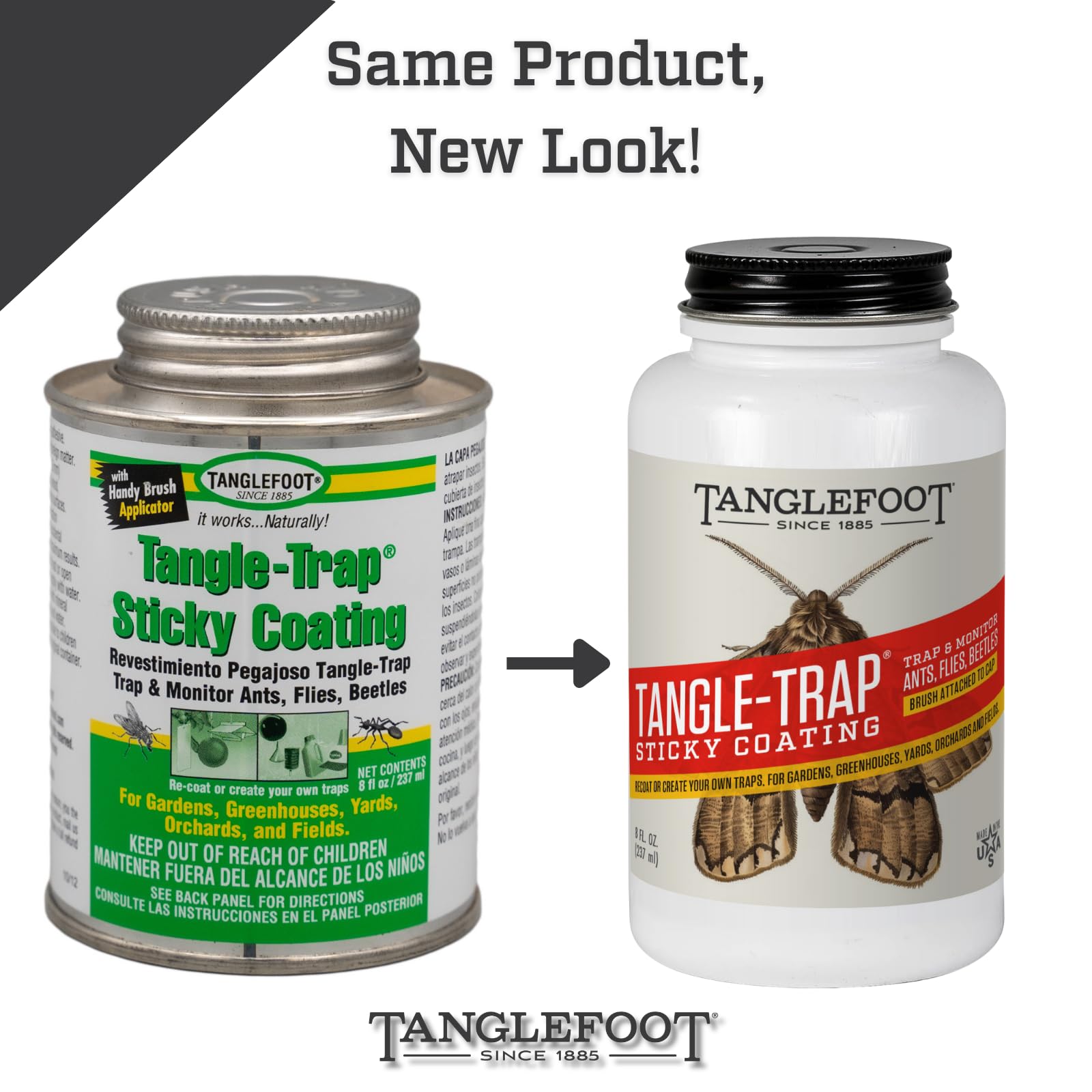 Tanglefoot close-up of tacky coating texture demonstrating effective adhesion
