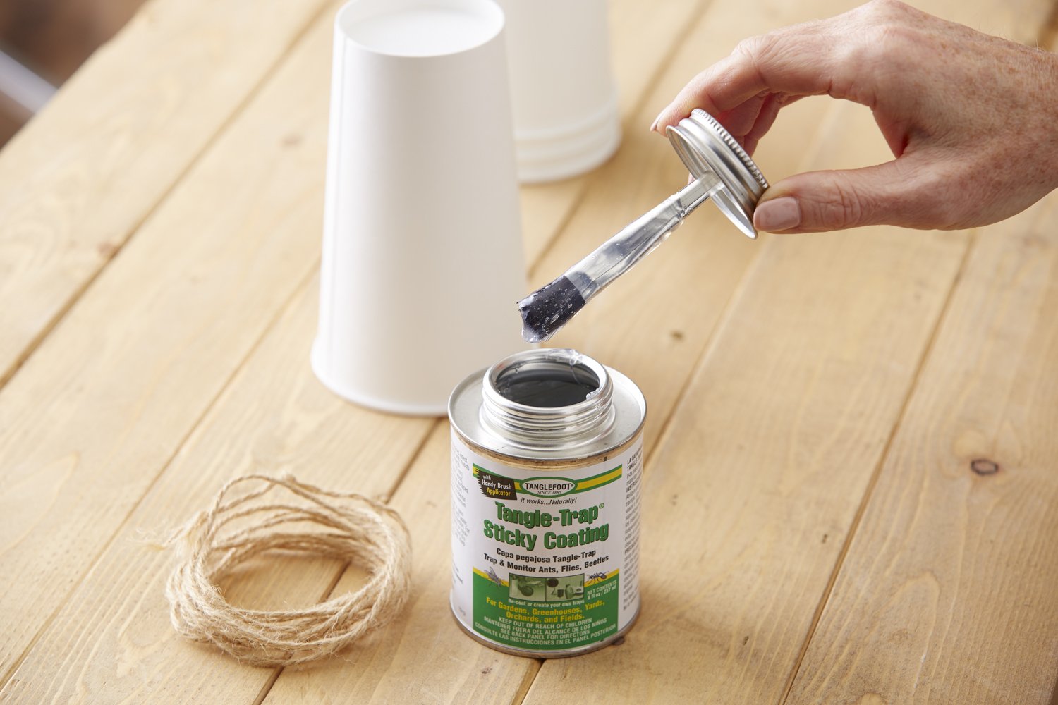 Tanglefoot coated stake in garden trapping insects for monitoring