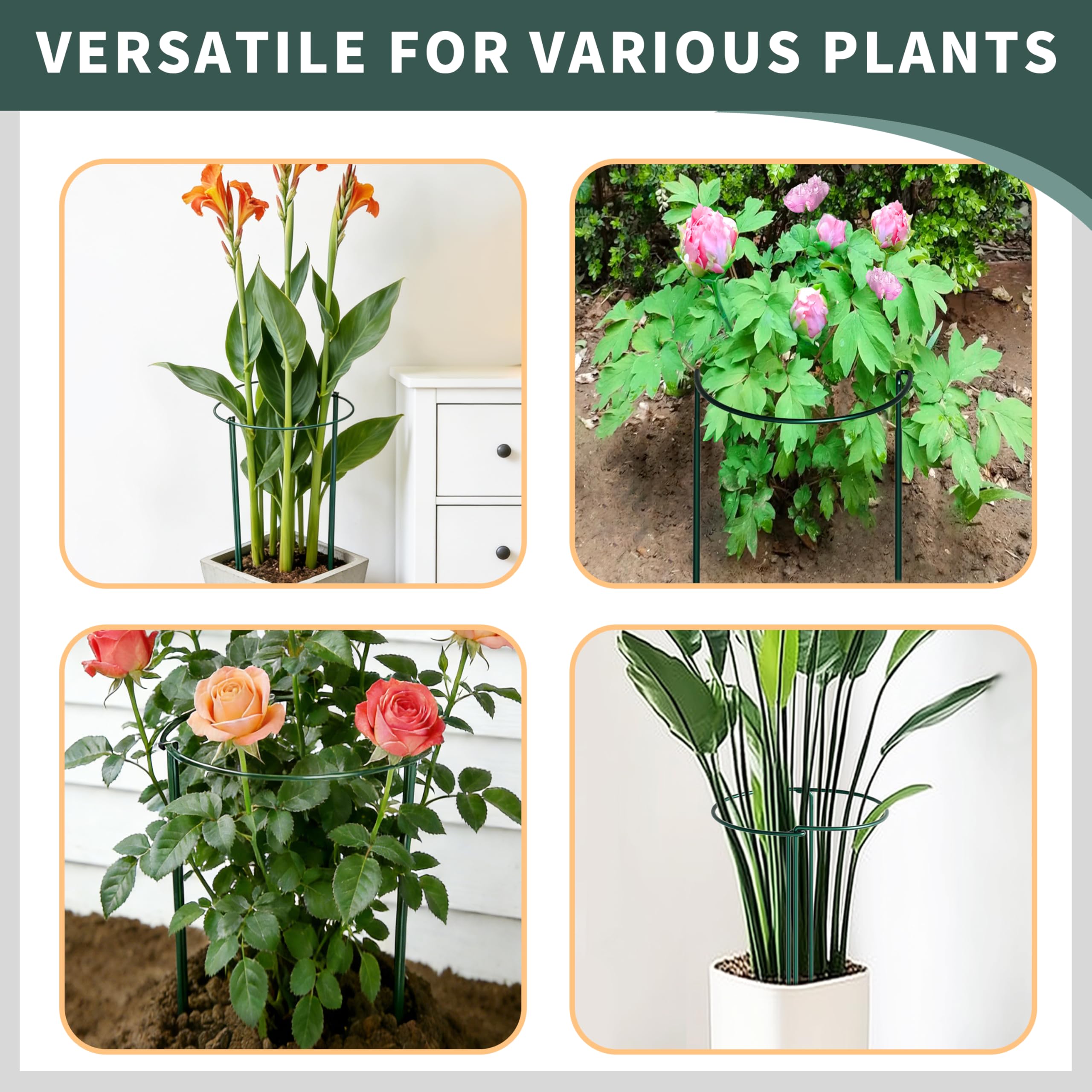 TCBWFY in use supporting large peony bloom and preventing flopping