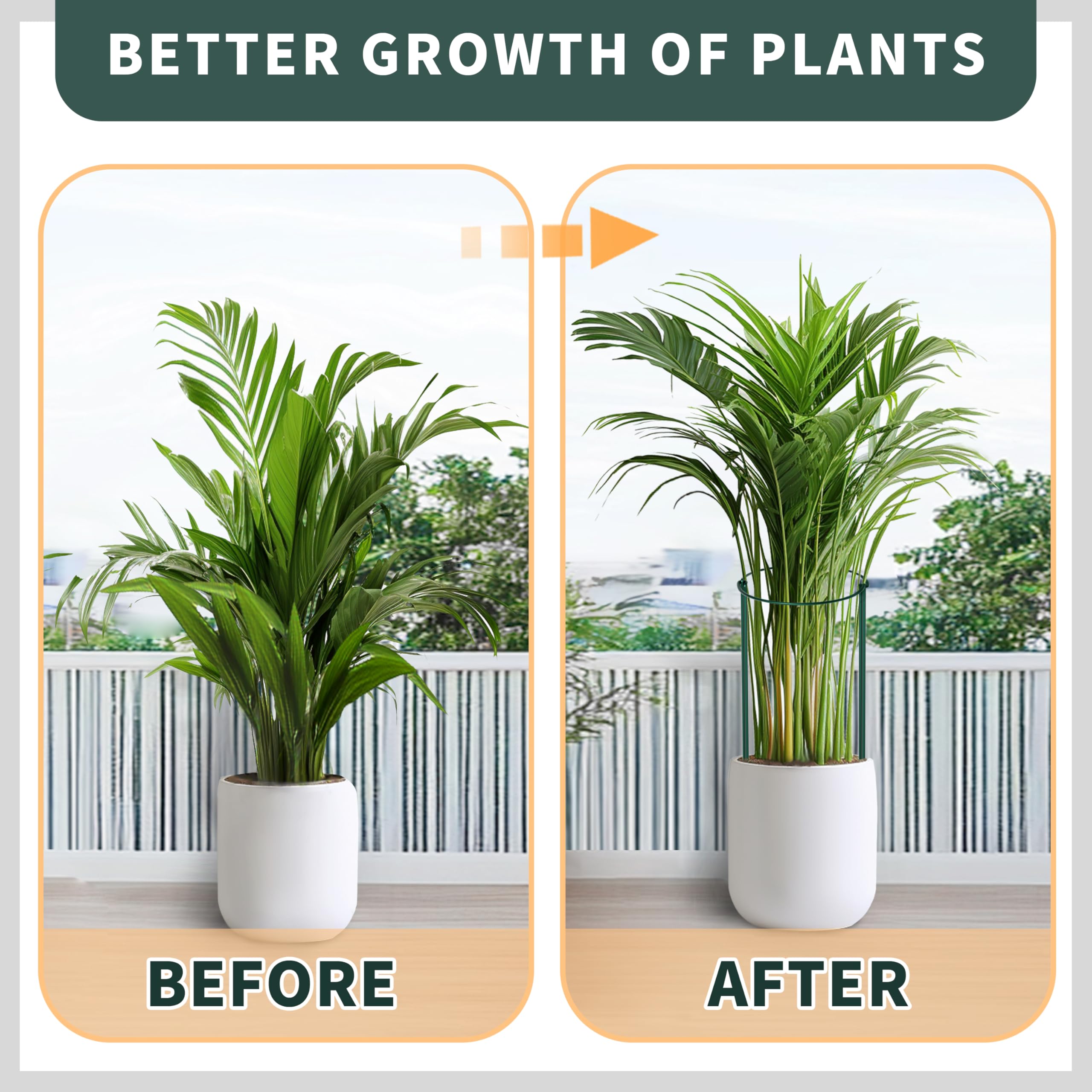 TCBWFY used as a row border stabilizing multiple stems in garden