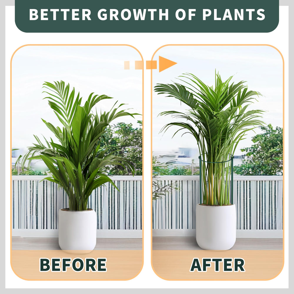TCBWFY used as a row border stabilizing multiple stems in garden