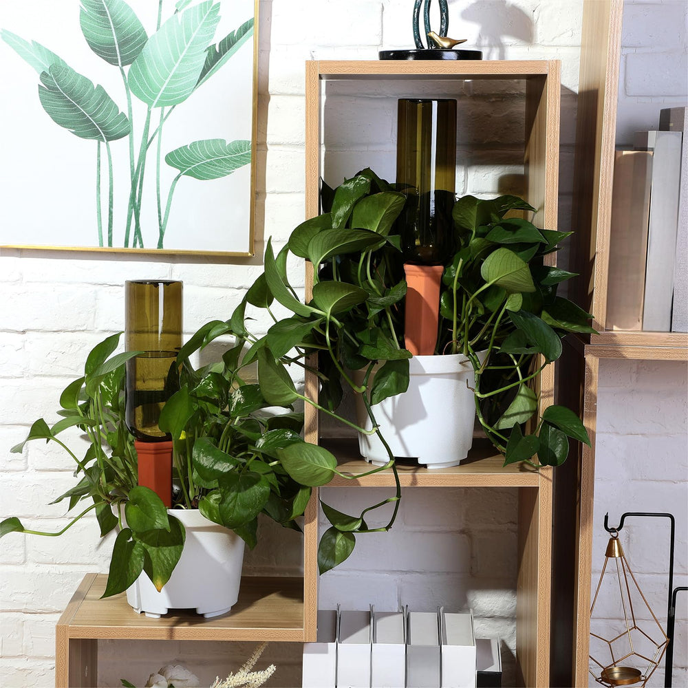 Teenyyou system in hanging basket illustrating hands-free watering advantage