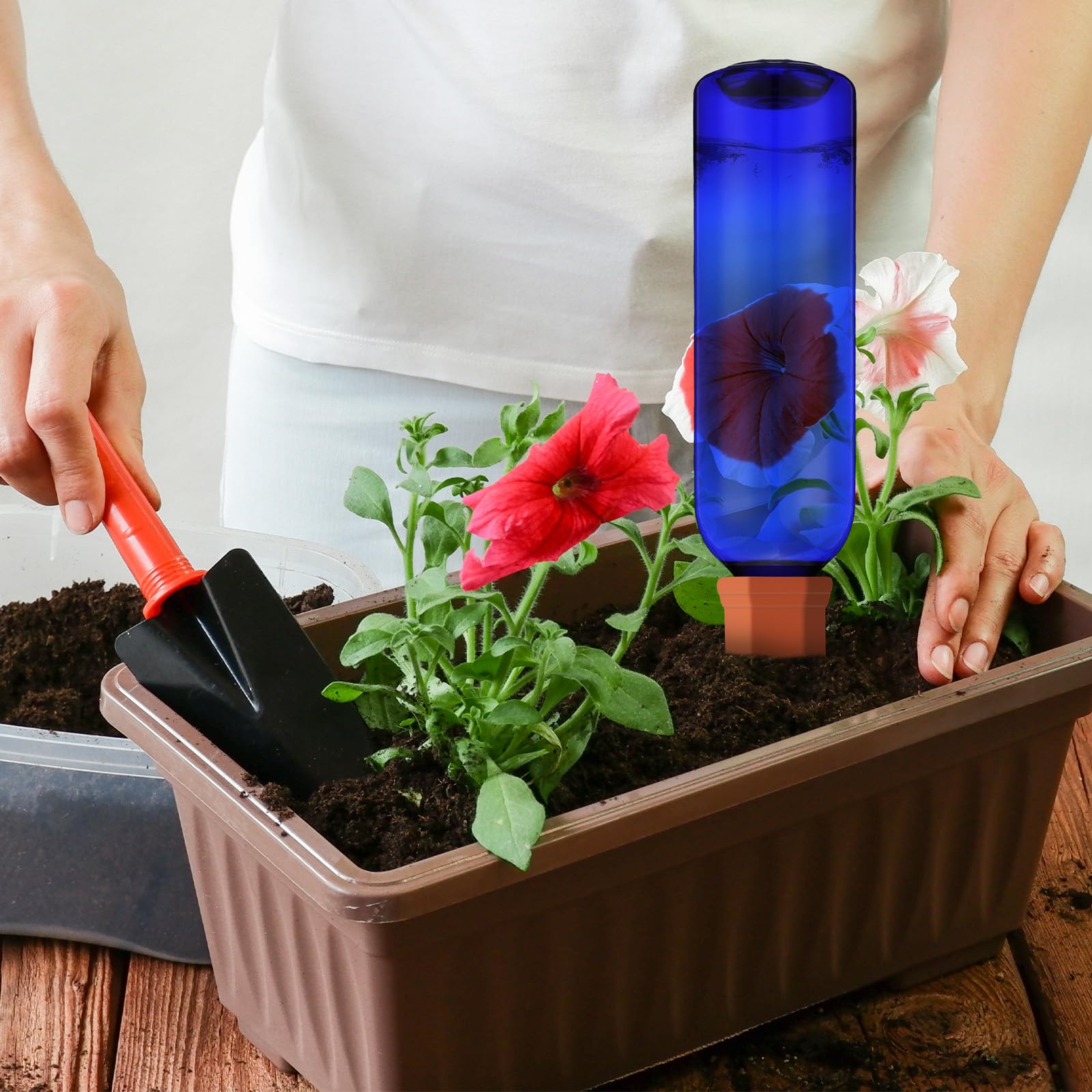 Teenyyou multiple pots set up for vacation showing consistent irrigation across containers