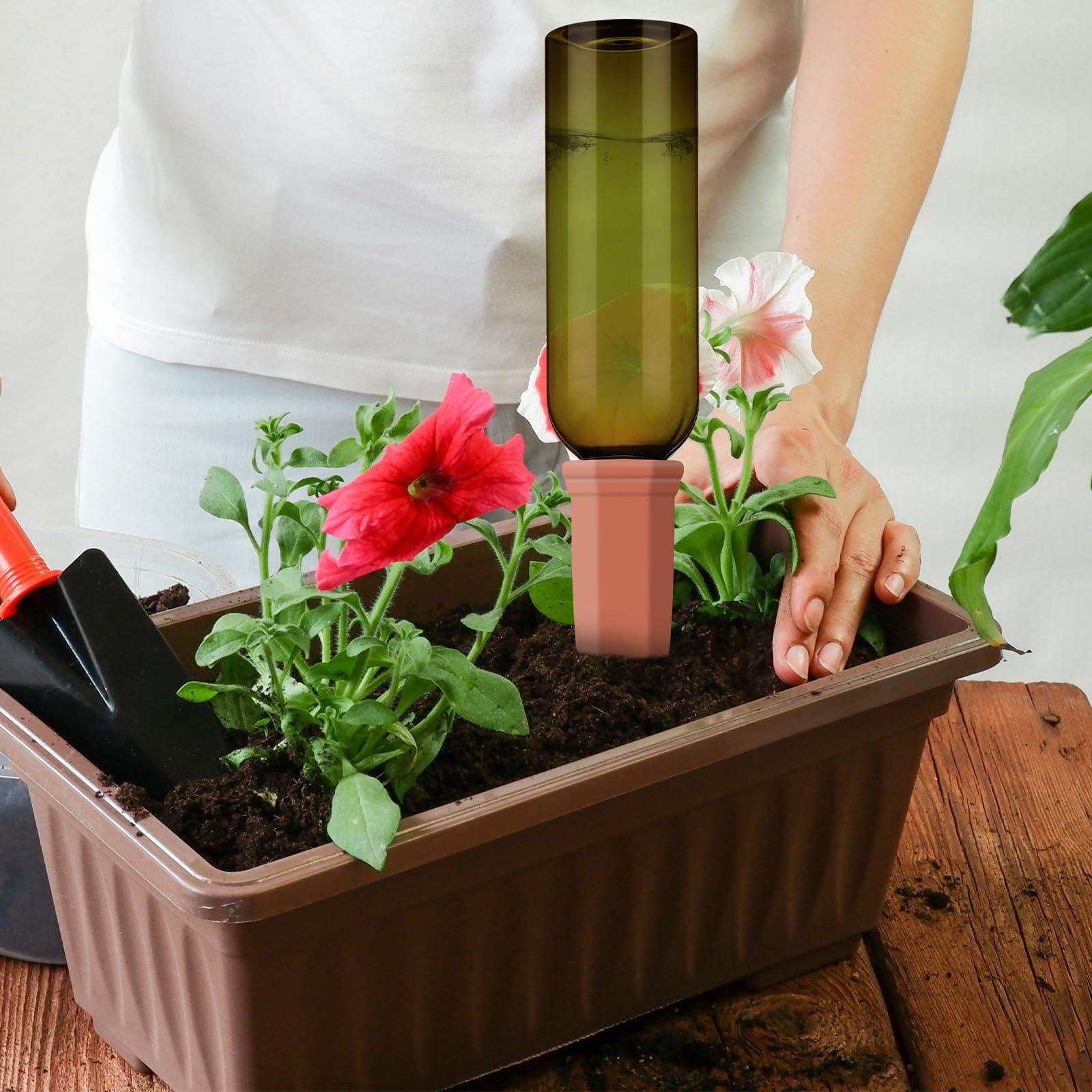 Teenyyou kit on window sill lifestyle scene promoting low-maintenance greenery