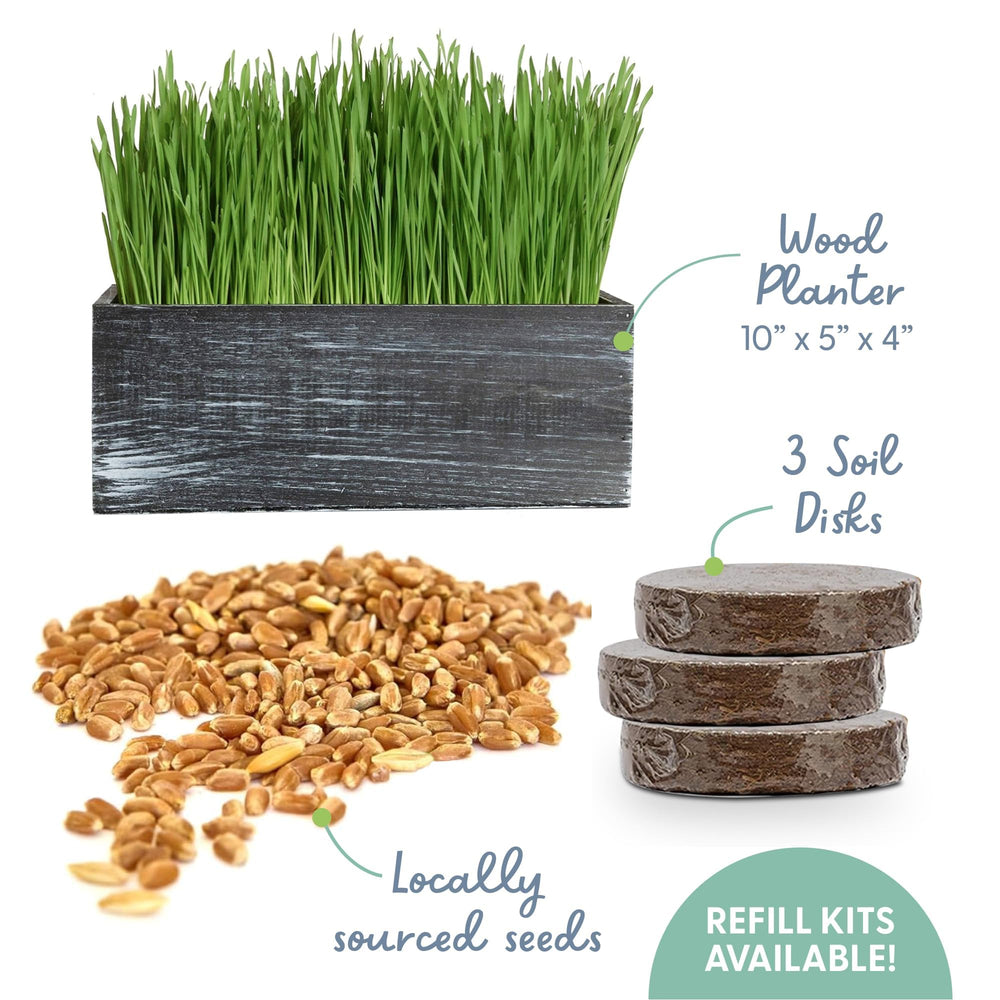 The Cat Ladies seed and compressed soil closeup highlights organic mix and easy hydration