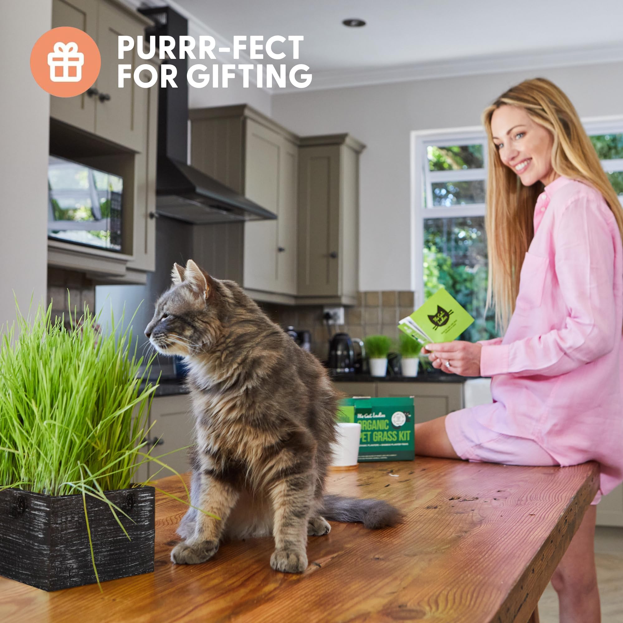 The Cat Ladies sprouting grass top view displays lush green blades and fast germination benefit