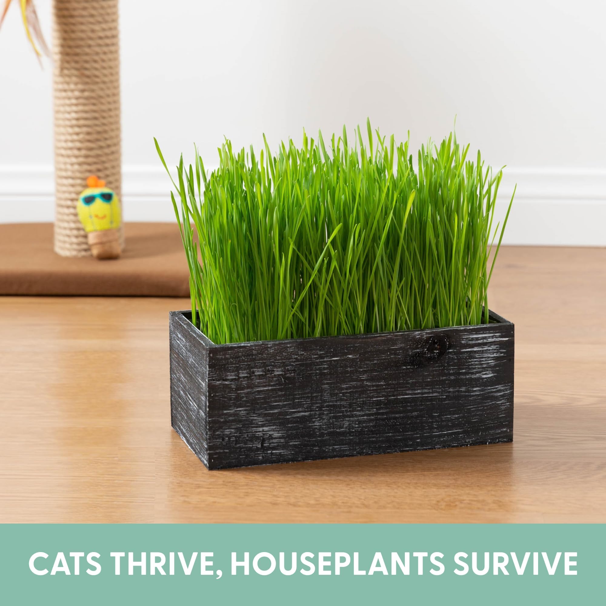 The Cat Ladies wooden planter texture closeup shows rustic finish and stylish home decor benefit