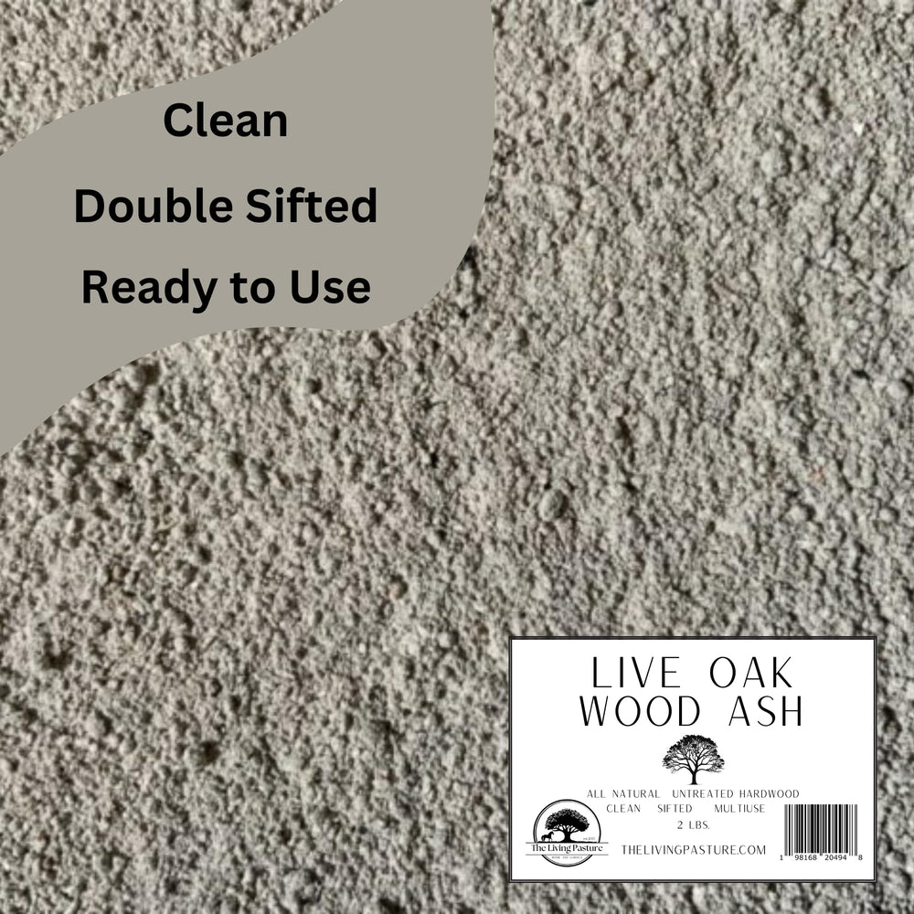 Close-up texture of The Living Pasture live oak ash highlighting fine sifted particles for even application